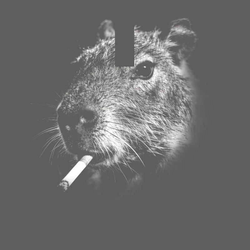 Rauchen, Zigarette, Capybara raucht eine Zigarette