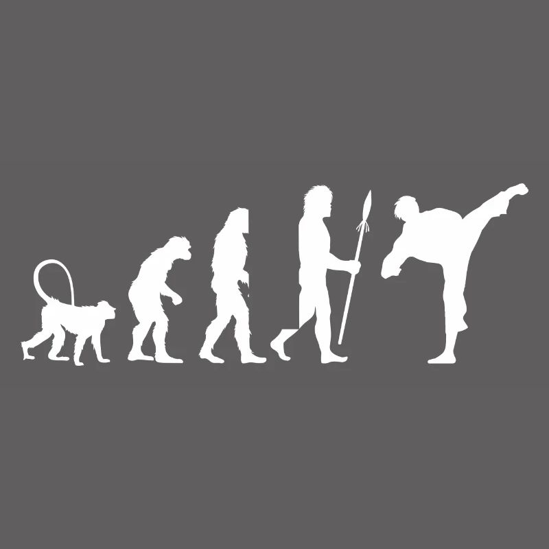 Évolution du karaté