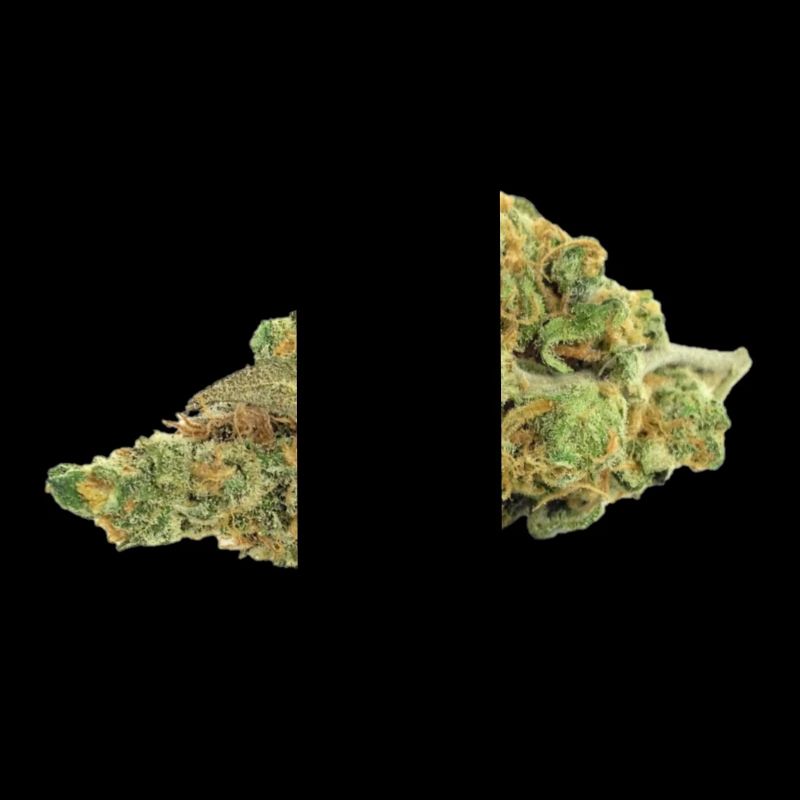 Cannabis singola / erbaccia / fiore