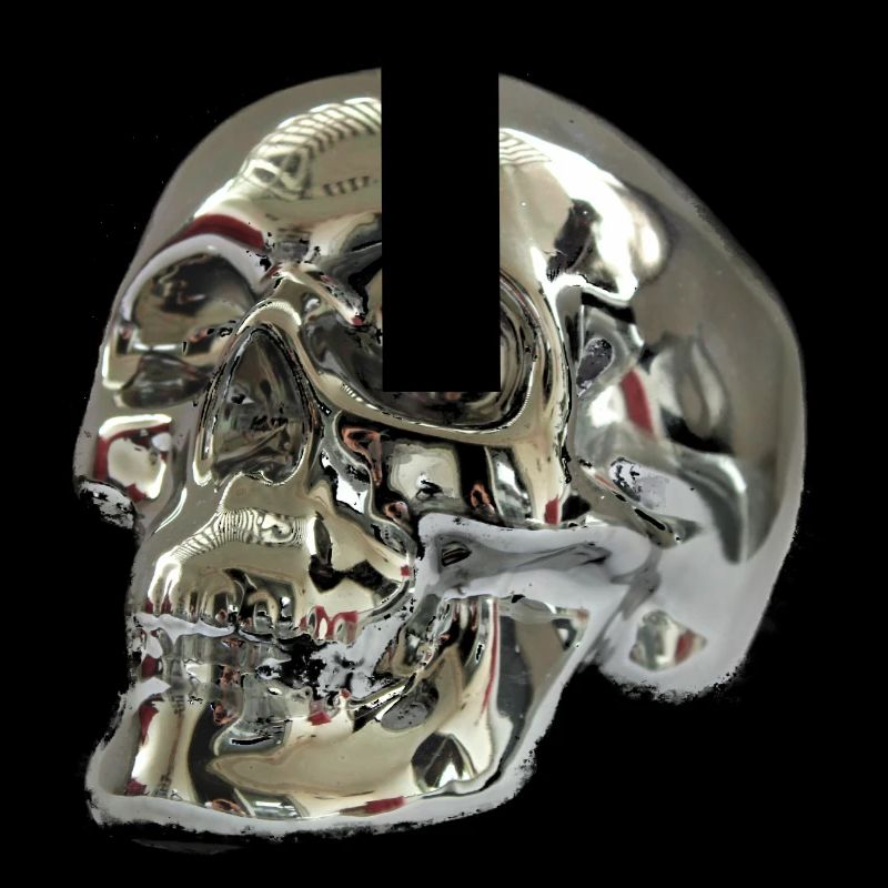 Crâne d'argent