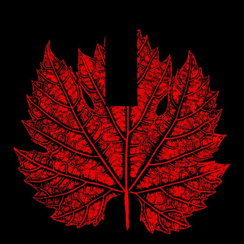 Grape Leaf / Red / Wine Leaf