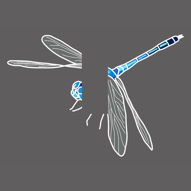 Libellule