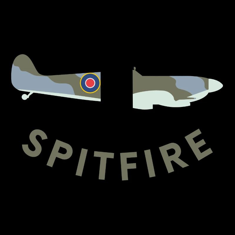 Spitfire fighter plane