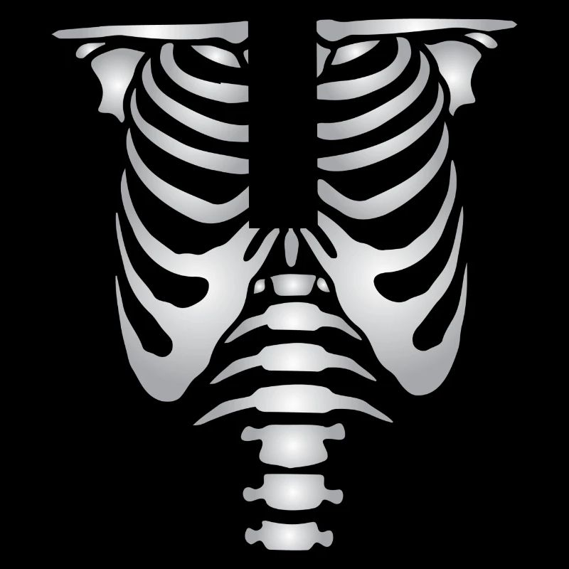 Human skeleton bones torso