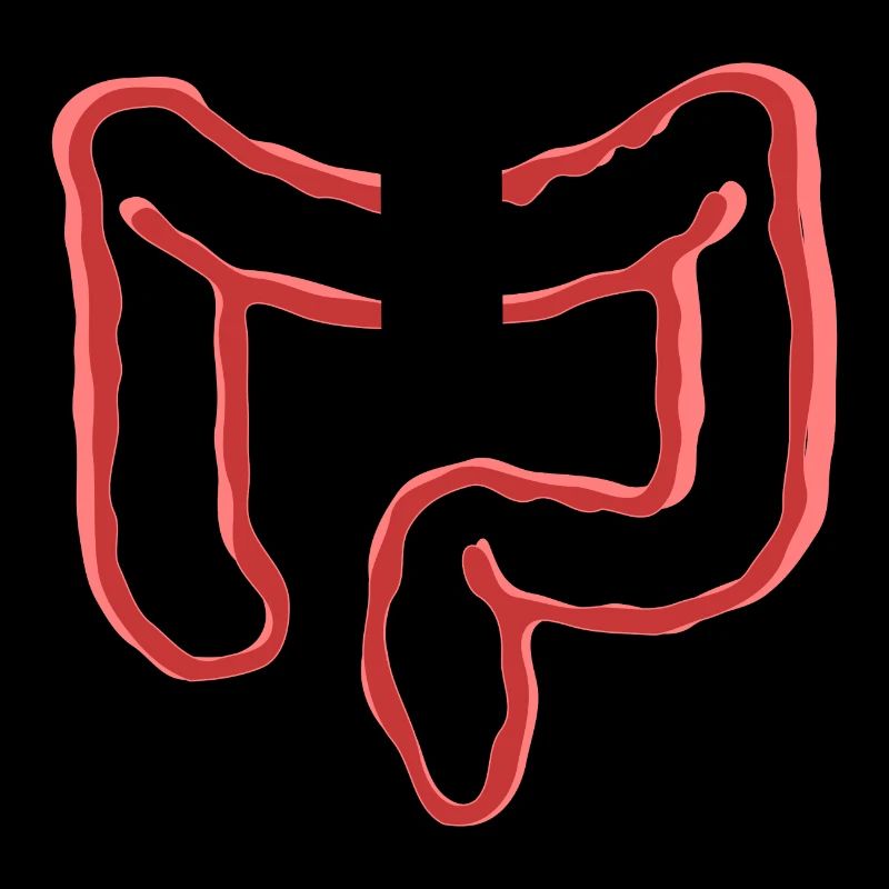 ORGANE INTESTINAL