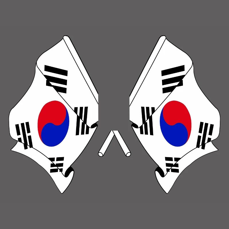 Deux drapeaux croisés de la Corée du Sud
