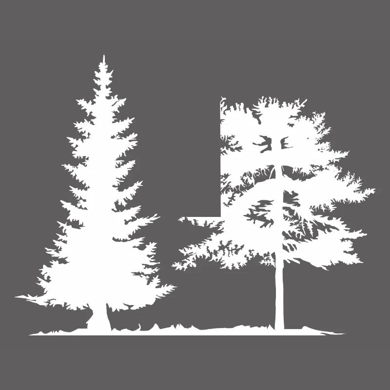 Tree, Spruce, Forest, Camping, Nature, Mixed Forest, Pine
