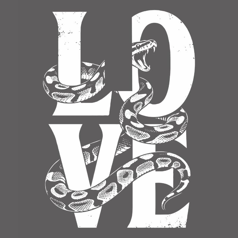 Königspython Schlangen LOVE Terrarium Python