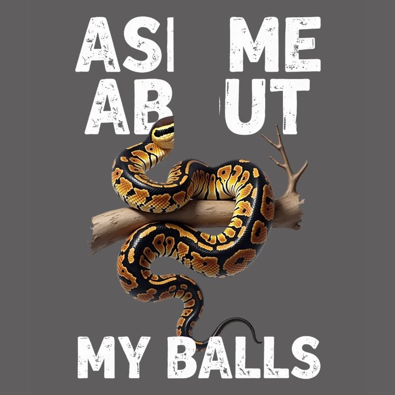King Python Snakes Lover Terrarium Python