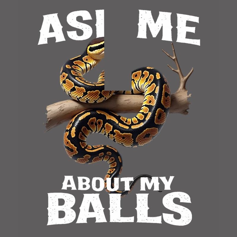 Python roi Serpents Amateurs de terrarium Python