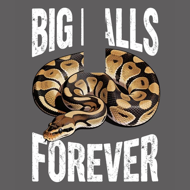 Python roi Serpents Amateurs de terrarium Python