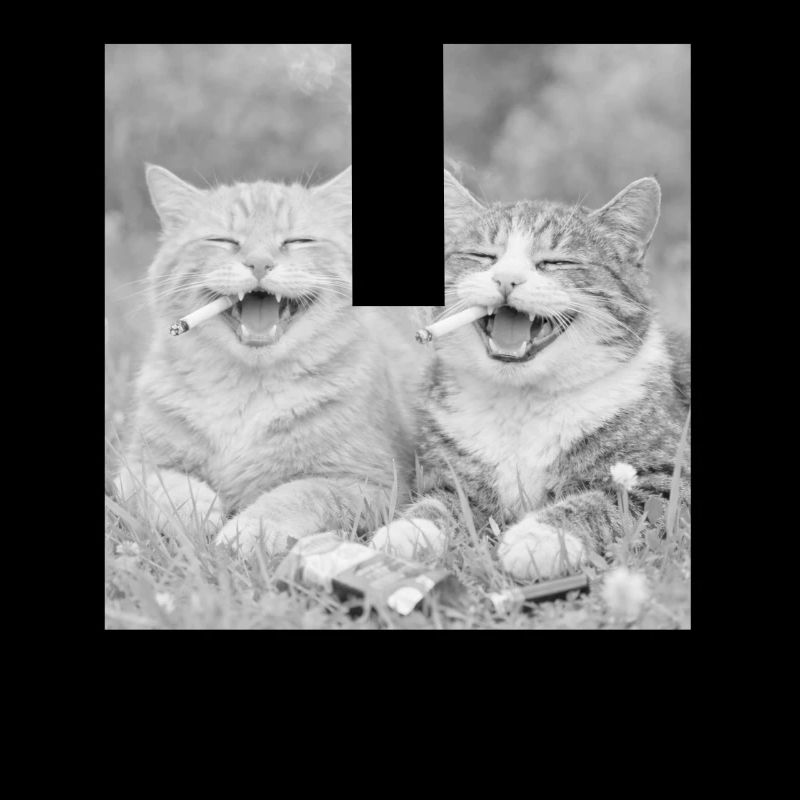 Drôle de design de chat