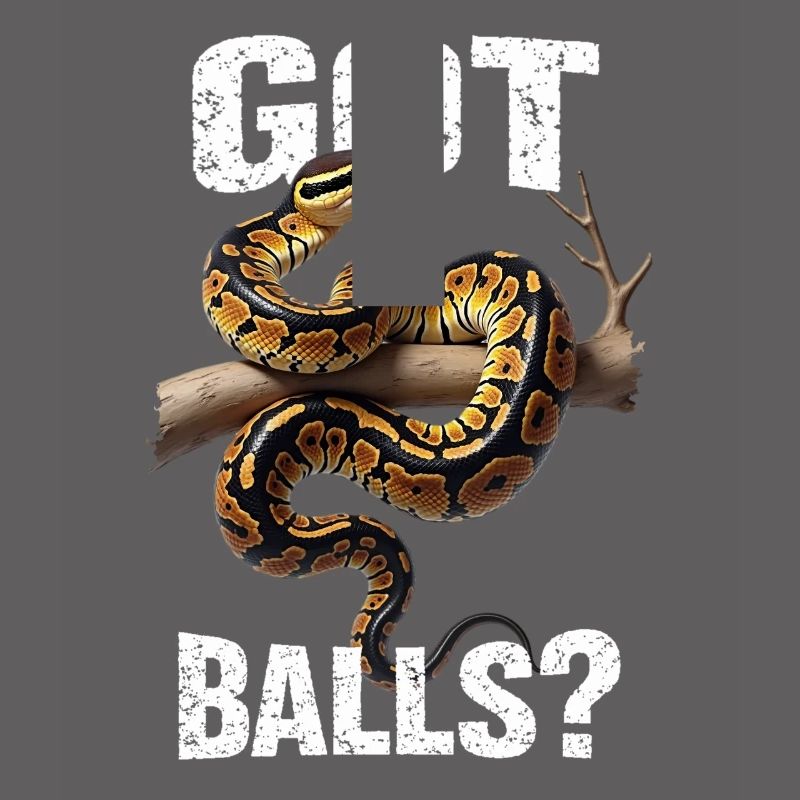 King Python Snakes Lover Terrarium Python