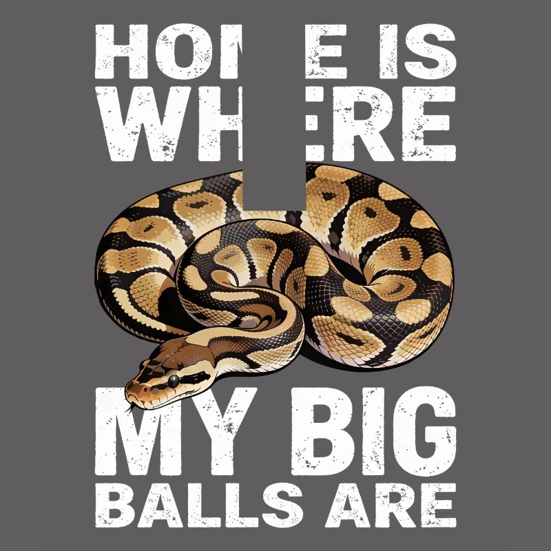 Königspython Schlangen Liebhaber Terrarium Python