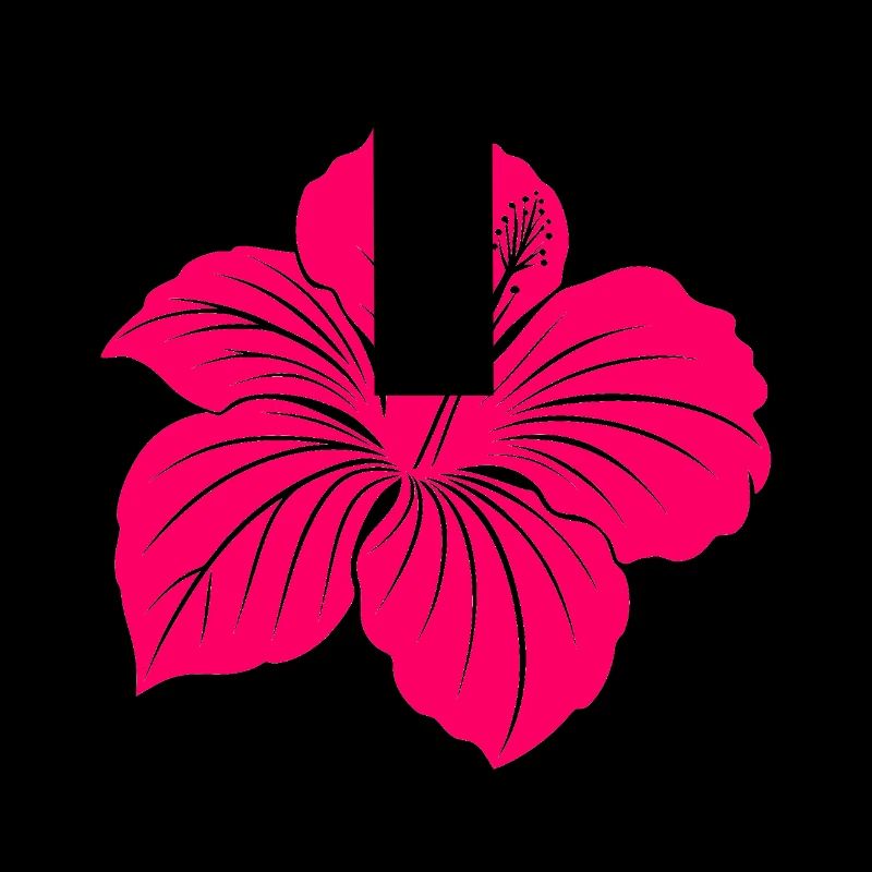 Hibiskusblüte