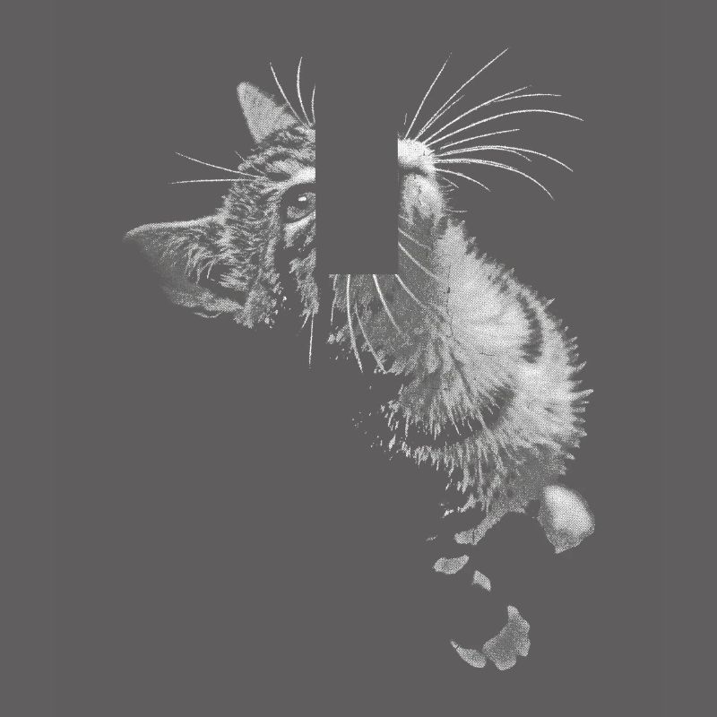 Grayscale Cat Purring Look