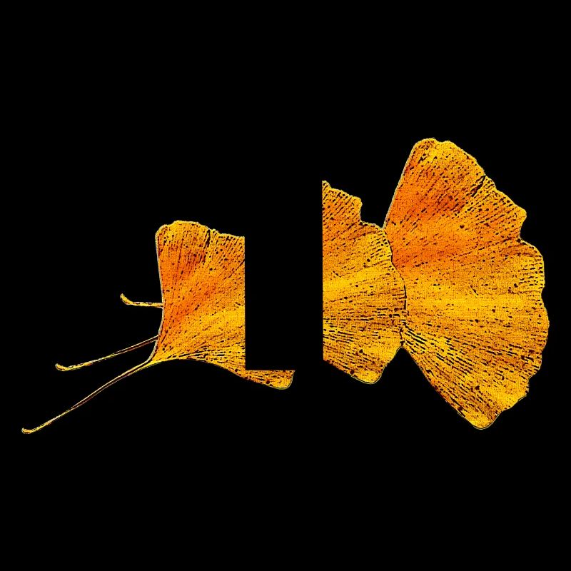 ginko blätter, blattmuster
