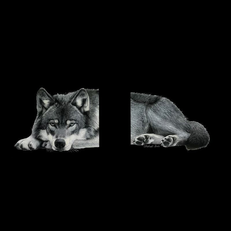 wolf