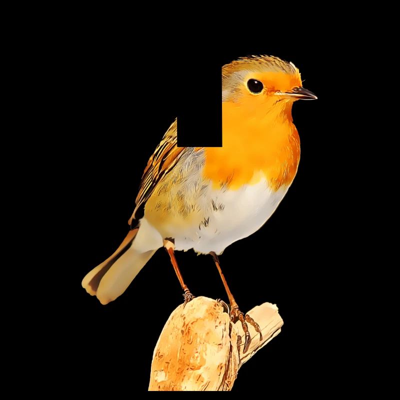 Robin