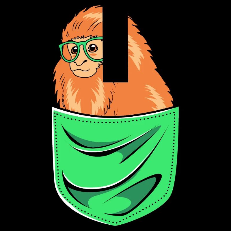 Tamarin Monkey