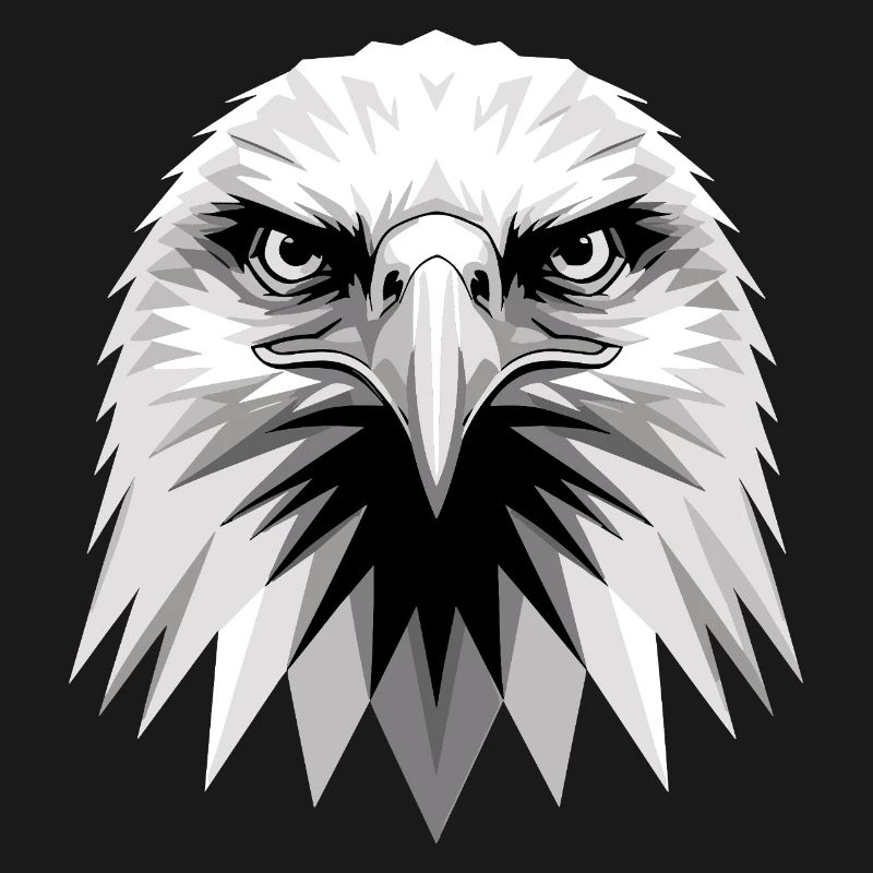 Eagle Bald Eagle Golden Eagle White-tailed Eagle