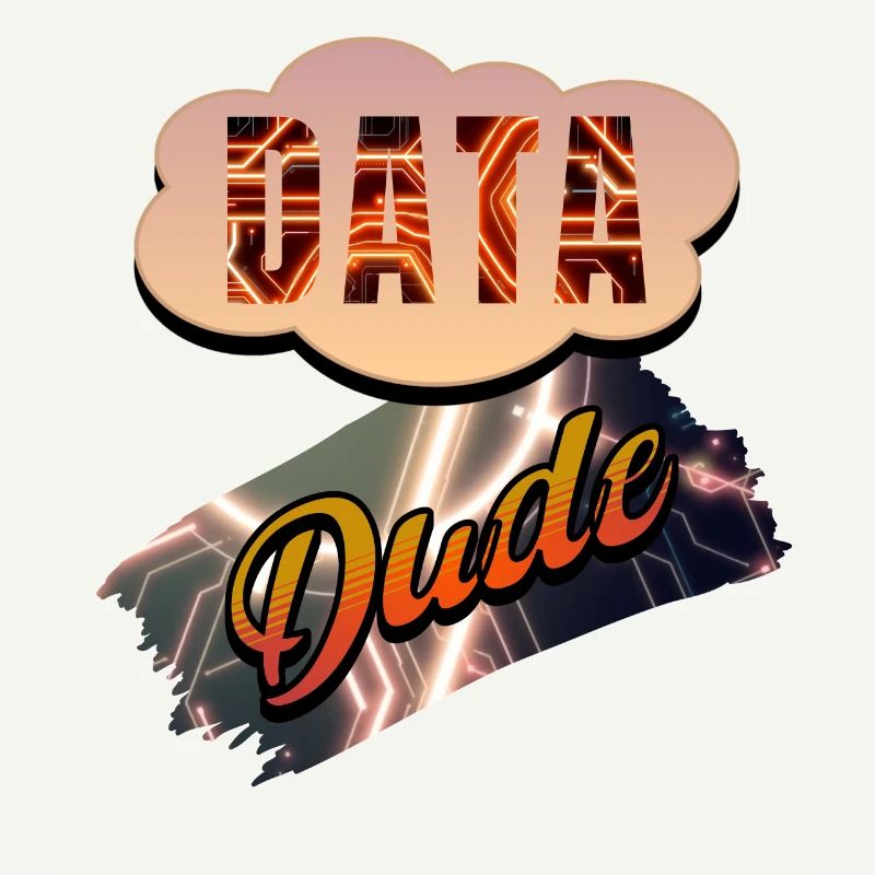Data Dude