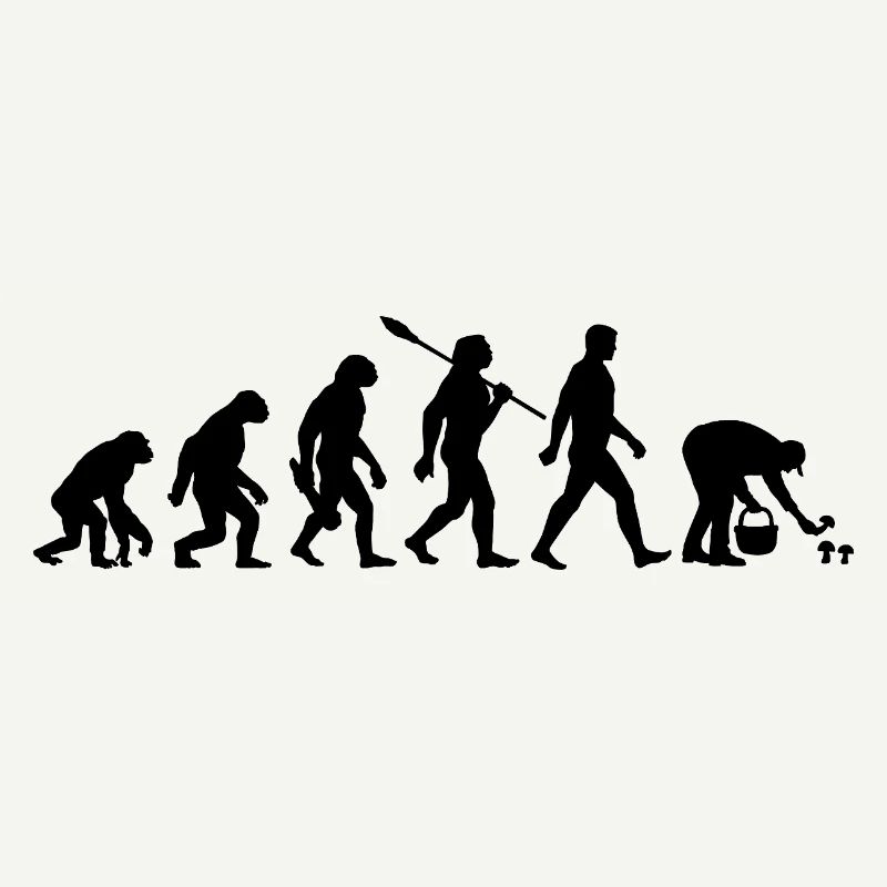 Evolution Mushroom Pickers, Mushroom Picking