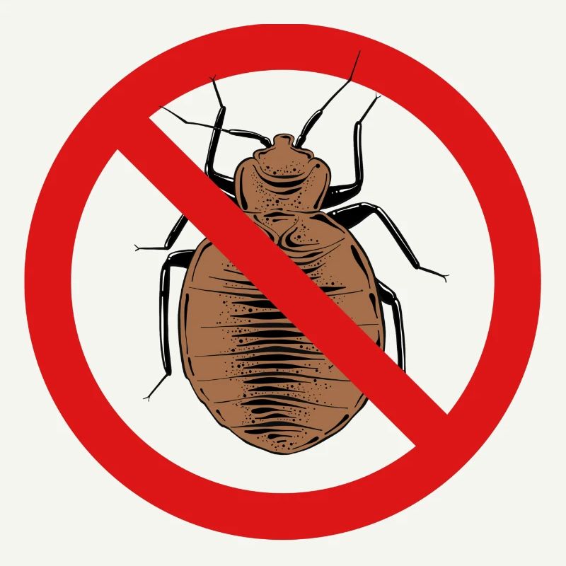 bed bug, bed bug