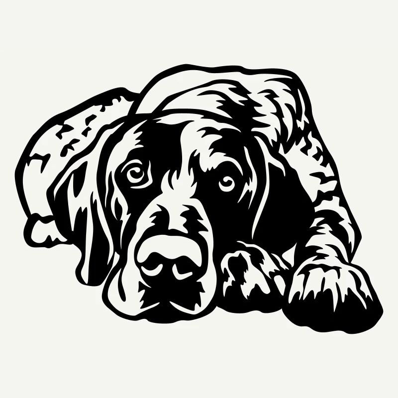 German Shorthaired Pointer
