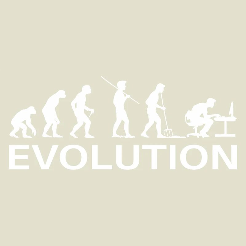 Programmeur Évolution Informaticien Développeur