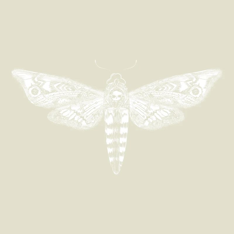 Dessin d'un essaim de crâne blanc
