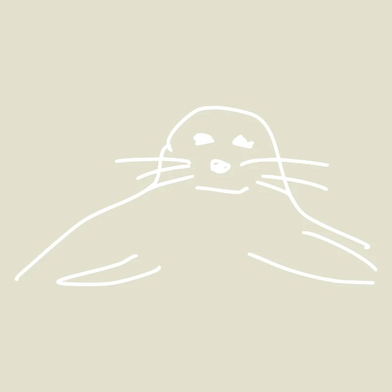 phoques phoques phoques animaux