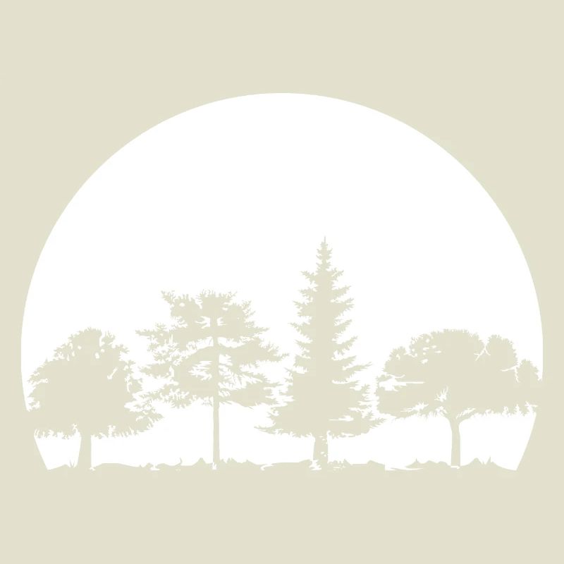 Forest, Moon, Mixed Forest, Nature, Oak, Beech, Birch, Spruce