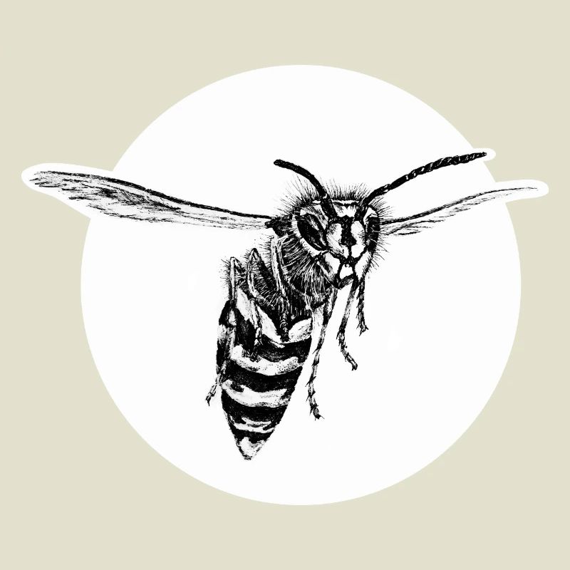 Wasp - Bee - Insect