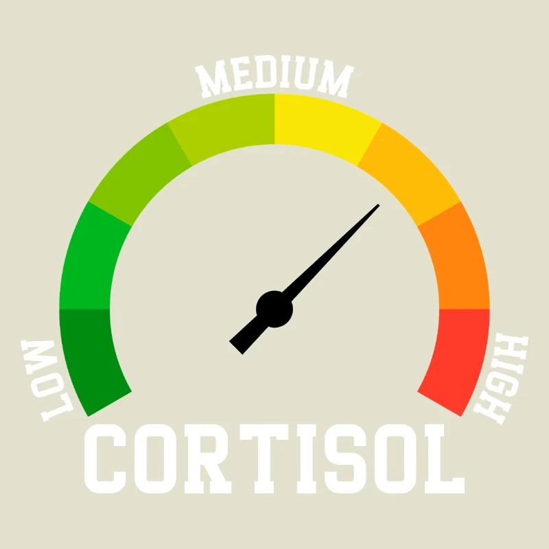 Faible Cortisol Niveau Bas Meme