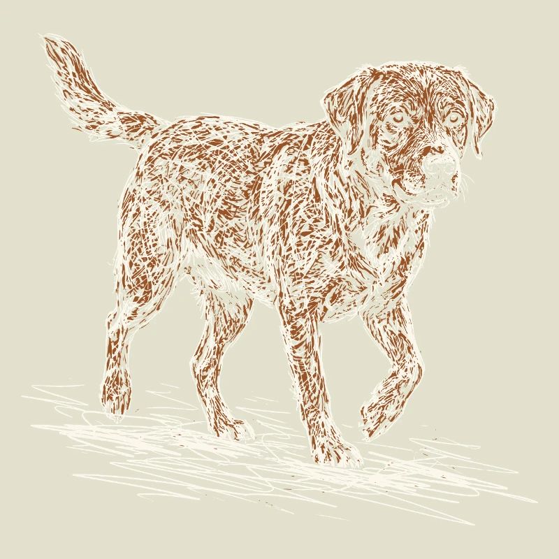 Sketch du Labrador Fox Red – Design du chien