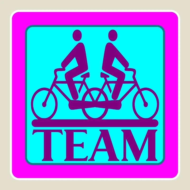 TEAM PROBLEMS - BIKE