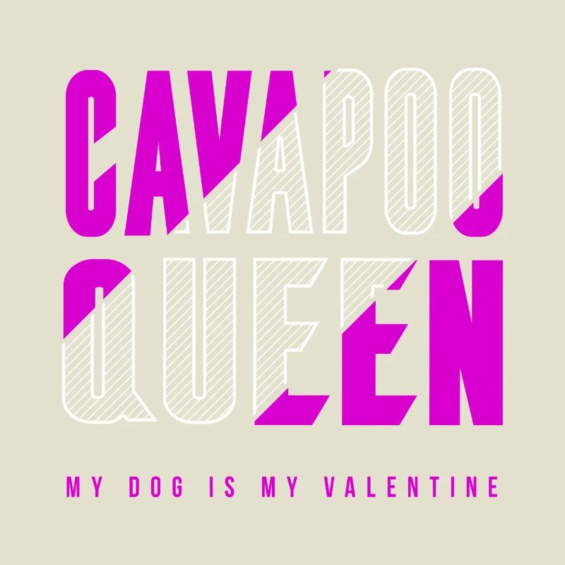 Cavapoo Queen