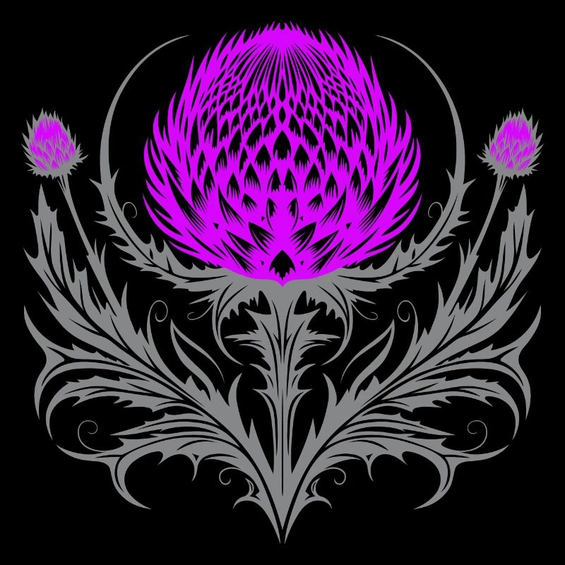 Distel Tattoo Scottish Thistle Botanical Art