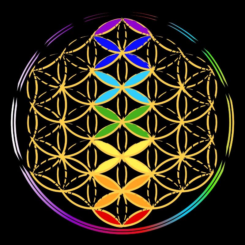 Fleur de Vie avec les Chakras