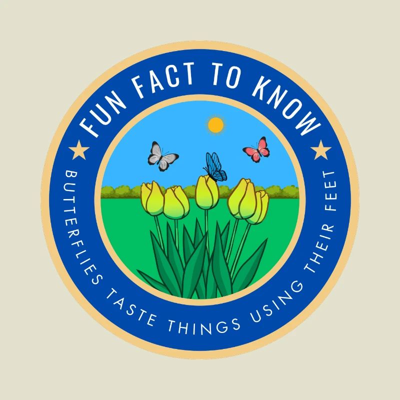 Butterflies taste things using their feet