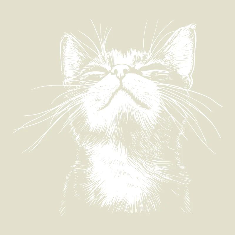 Drôle de Chat