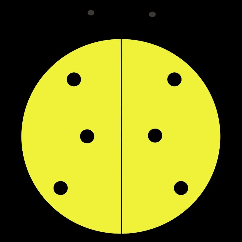 Coccinelle Jaune à Points Noirs