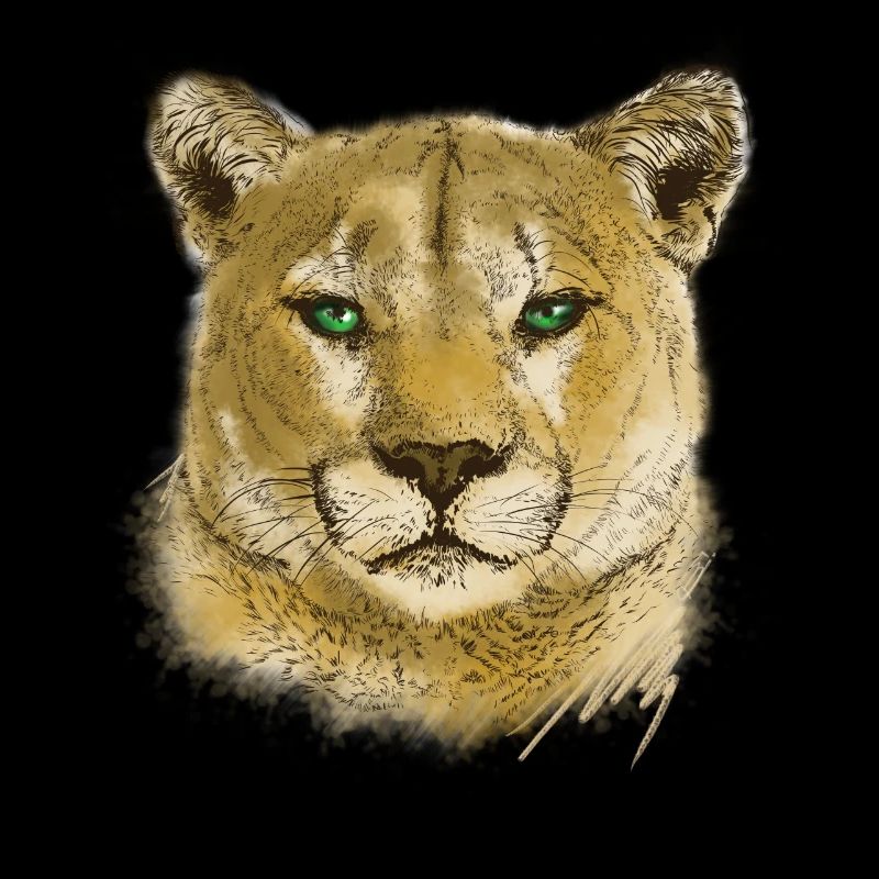 wildkatze