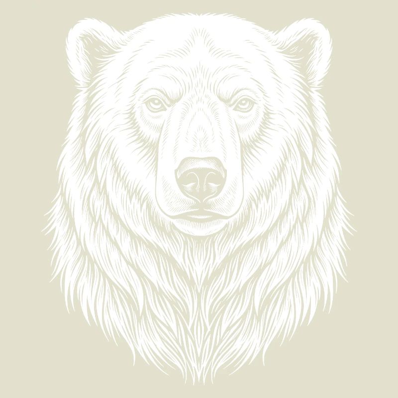 Dessin de lignes d’ours