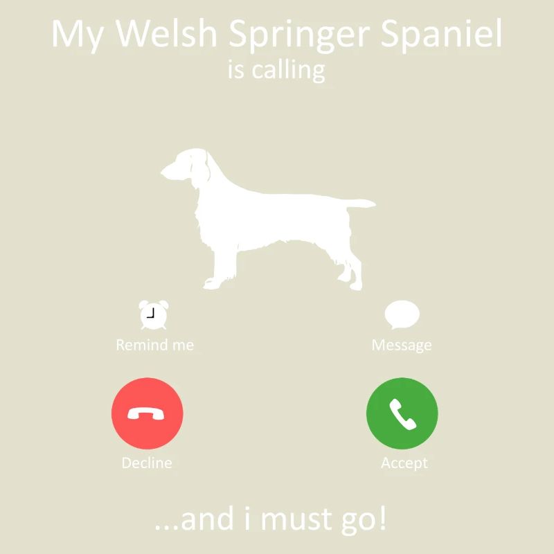 Welsh Springer Spaniel ruft lustigen Hund