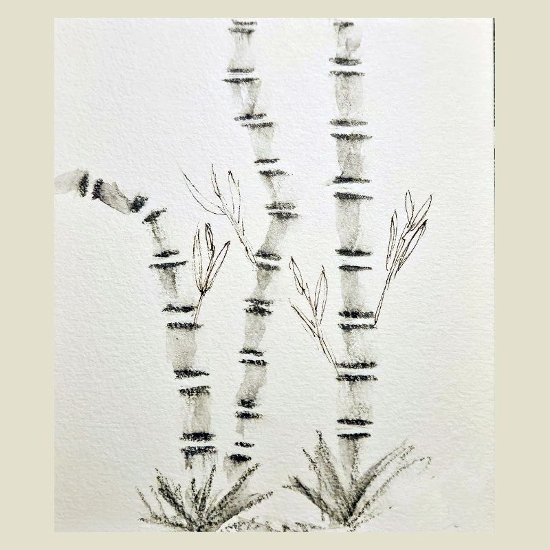 Bamboo Drawing in Ink Style
