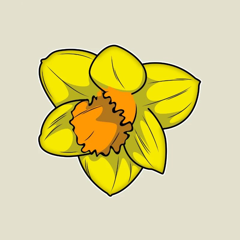 Vibrant daffodil with warm hues