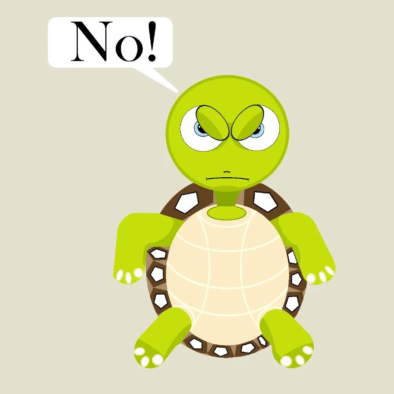 Statement No Turtle, No Fun Comic, No