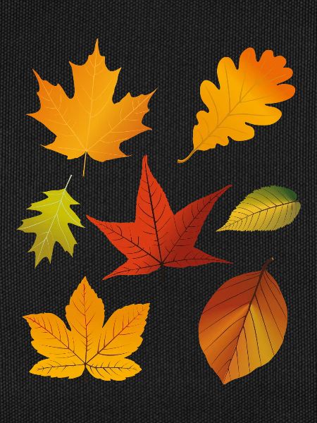 Herbstlaub